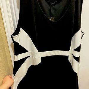 NWT Black & White Swing Dress